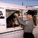 Support Our Humane Officers