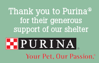 Thank You to Purina