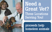 Need a Great Vet?