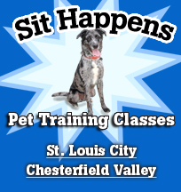 Pet Training Classes