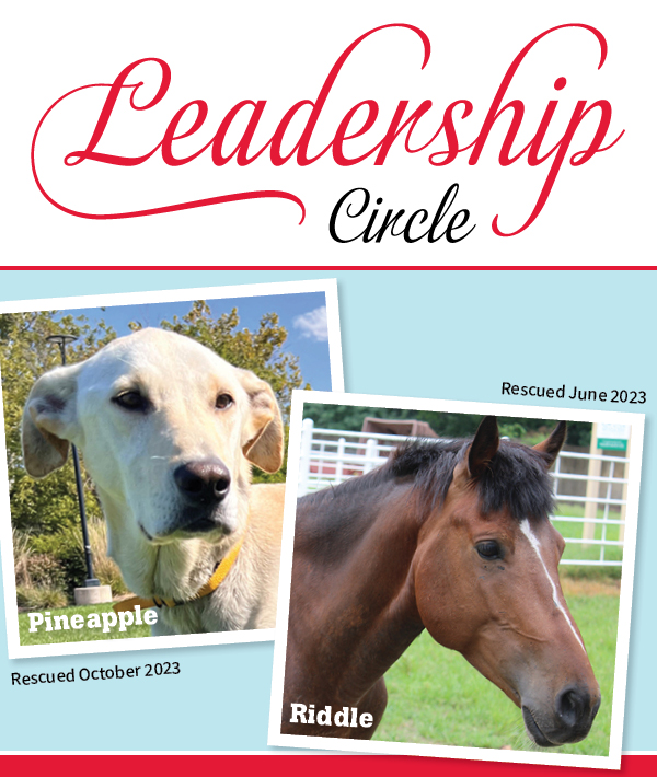 Leadership Circle Spring 2024