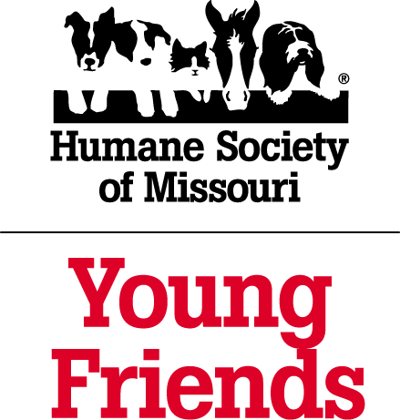 Young Friends square logo