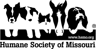 logo-hsmo16-1.png