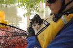 Missouri and Iowa Flooding 2008