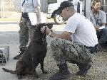 Hurricane Ike Relief Efforts