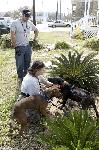 Hurricane Ike Relief Efforts