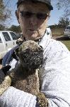 Howell County Substandard Breeder Rescue