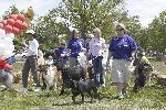 Bark in the Park 2008