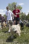 Bark in the Park 2008