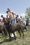 Bark in the Park 2008