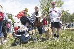 Bark in the Park 2008