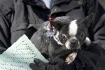 Puppy Mill Rescue- Seneca, MO