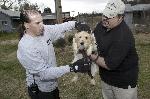 Arkansas Puppy Mill Rescue