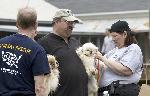 Arkansas Puppy Mill Rescue