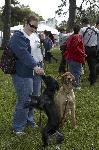 Bark in the Park 2009