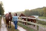 Click here for more information about Volunteer Orientation - Longmeadow Rescue Ranch